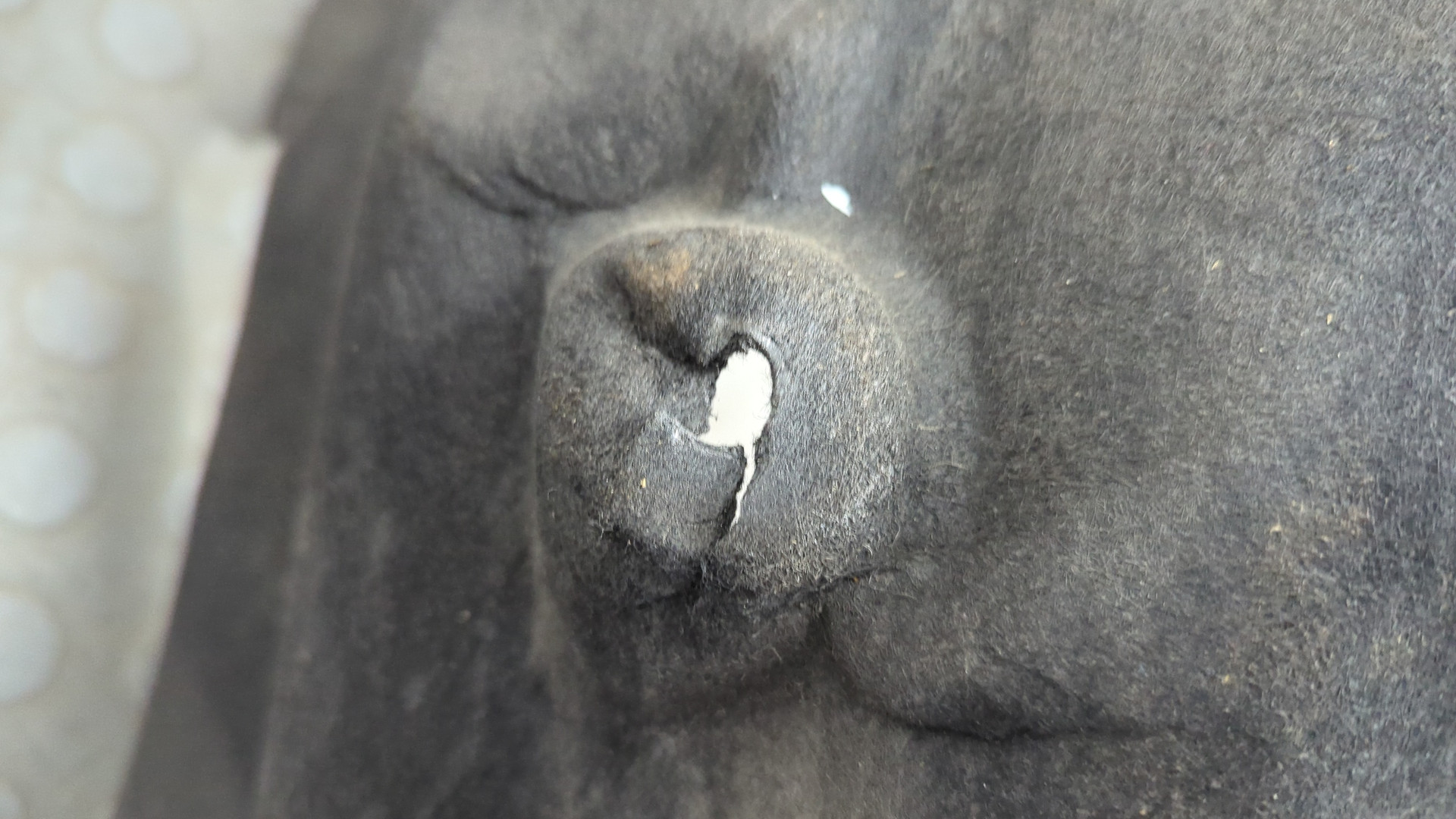 Локер задний правый