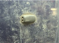 1252640, P3M51R16610AA Капот Ford C-Max 2002-2010 20818338 #2