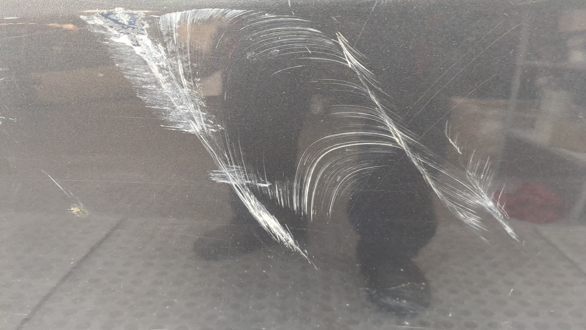 Дверь передняя левая