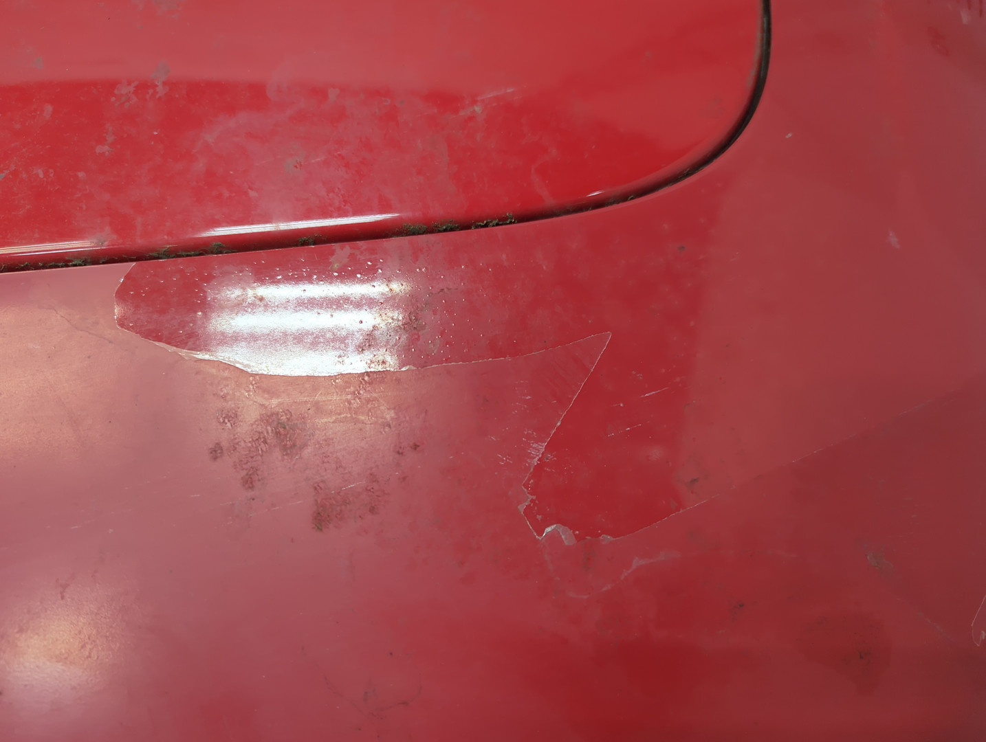 Дверь багажника