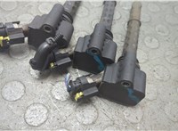  Катушка зажигания(комплект) Fiat Bravo 2007-2014 20820508 #6