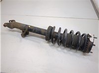 4895516AC, 4895624AB Амортизатор подвески Chrysler 300C 2004-2011 20820559 #1