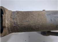 4895516AC, 4895624AB Амортизатор подвески Chrysler 300C 2004-2011 20820559 #5