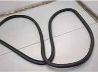 23255372 Уплотнитель Cadillac Escalade 4 2014-2020 20820802 #2