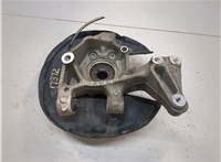 5K0498621, 3C0505433G, 5N0615611D Ступица (кулак, цапфа) Volkswagen Tiguan 2011-2018 20822649 #1