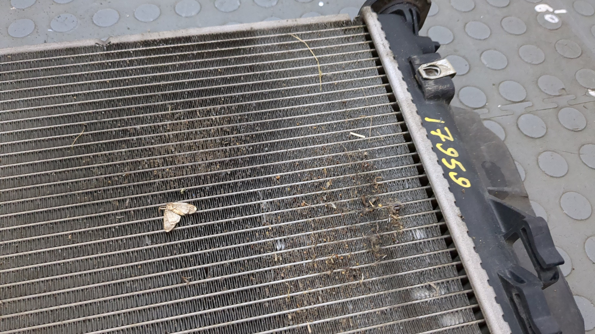 Радиатор охлаждения двигателя основной