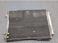 3C0820411F Радиатор кондиционера Volkswagen Passat CC 2008-2012 20823358 #1