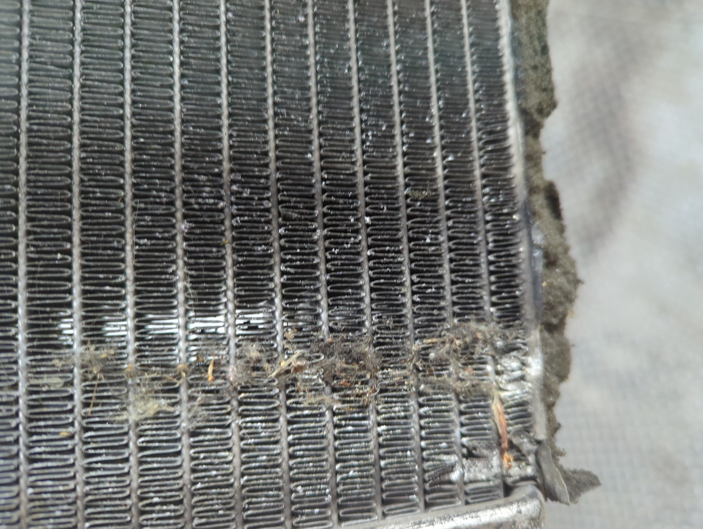 Радиатор охлаждения двигателя основной