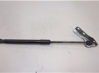 51239883421, 9883421 Амортизатор капота BMW X1 U11, U12 2022-2025 20824402 #1