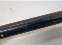 51239883421, 9883421 Амортизатор капота BMW X1 U11, U12 2022-2025 20824402 #3