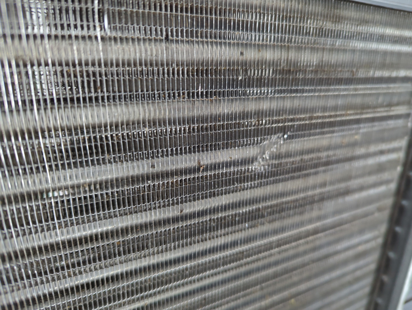 Радиатор охлаждения двигателя основной