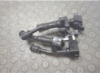 DS7G12A366BB Катушка зажигания(комплект) Ford Escape 2015-2019 20827828 #1