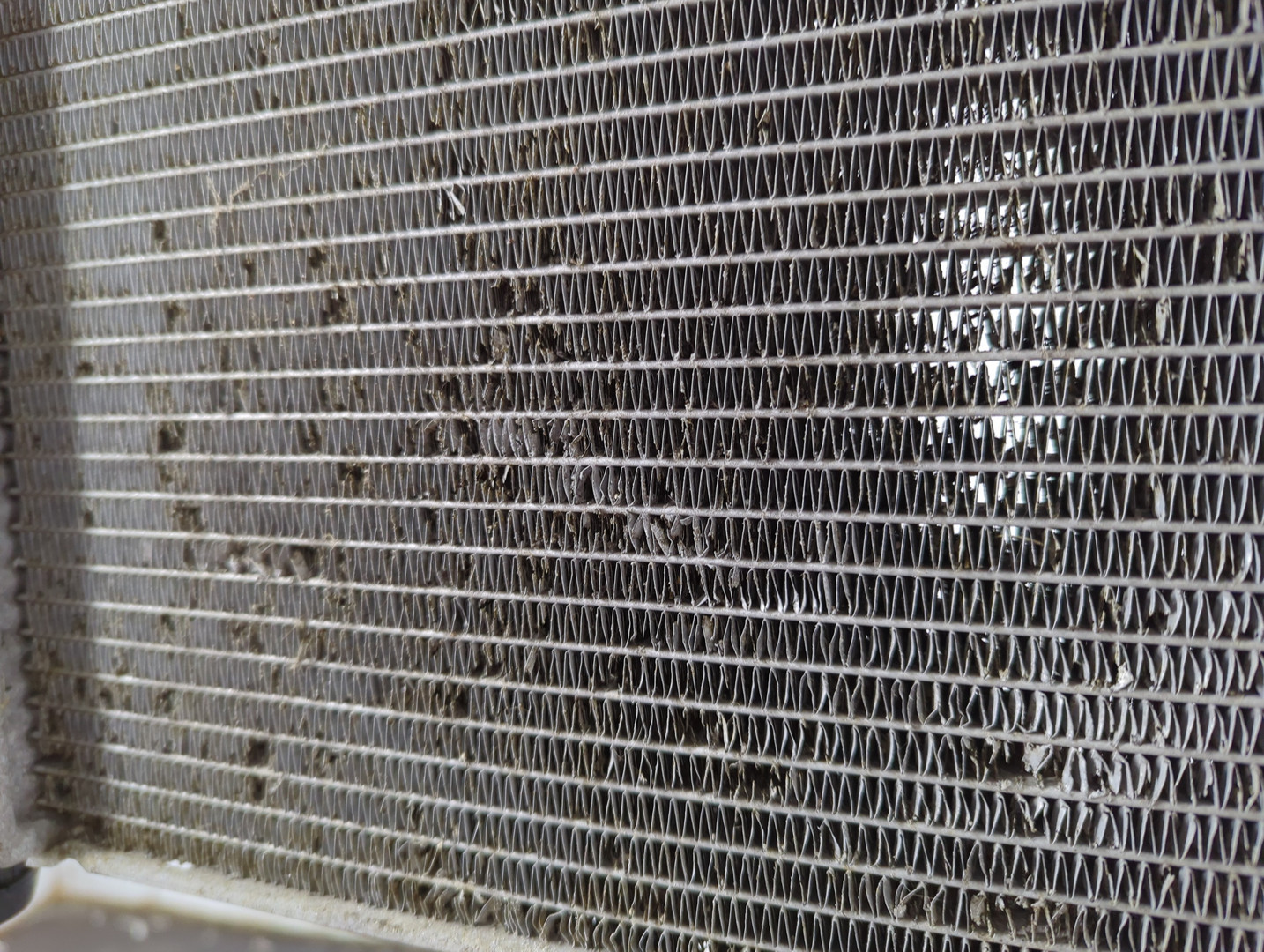 Радиатор охлаждения двигателя основной