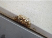 A9067250009 Стекло форточки двери Mercedes Sprinter 2006-2018 11623617 #19