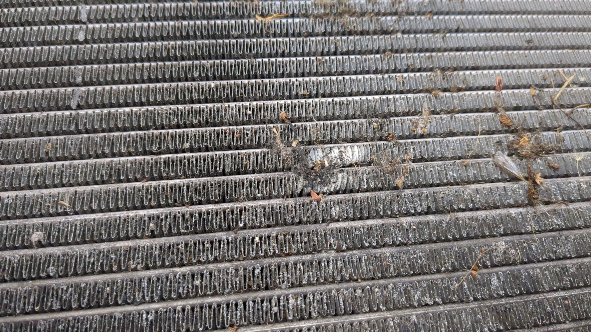 Радиатор охлаждения двигателя основной