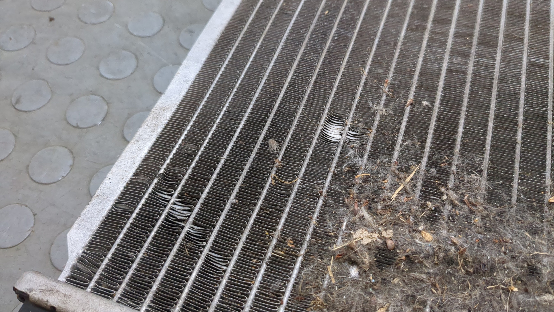 Радиатор охлаждения двигателя основной