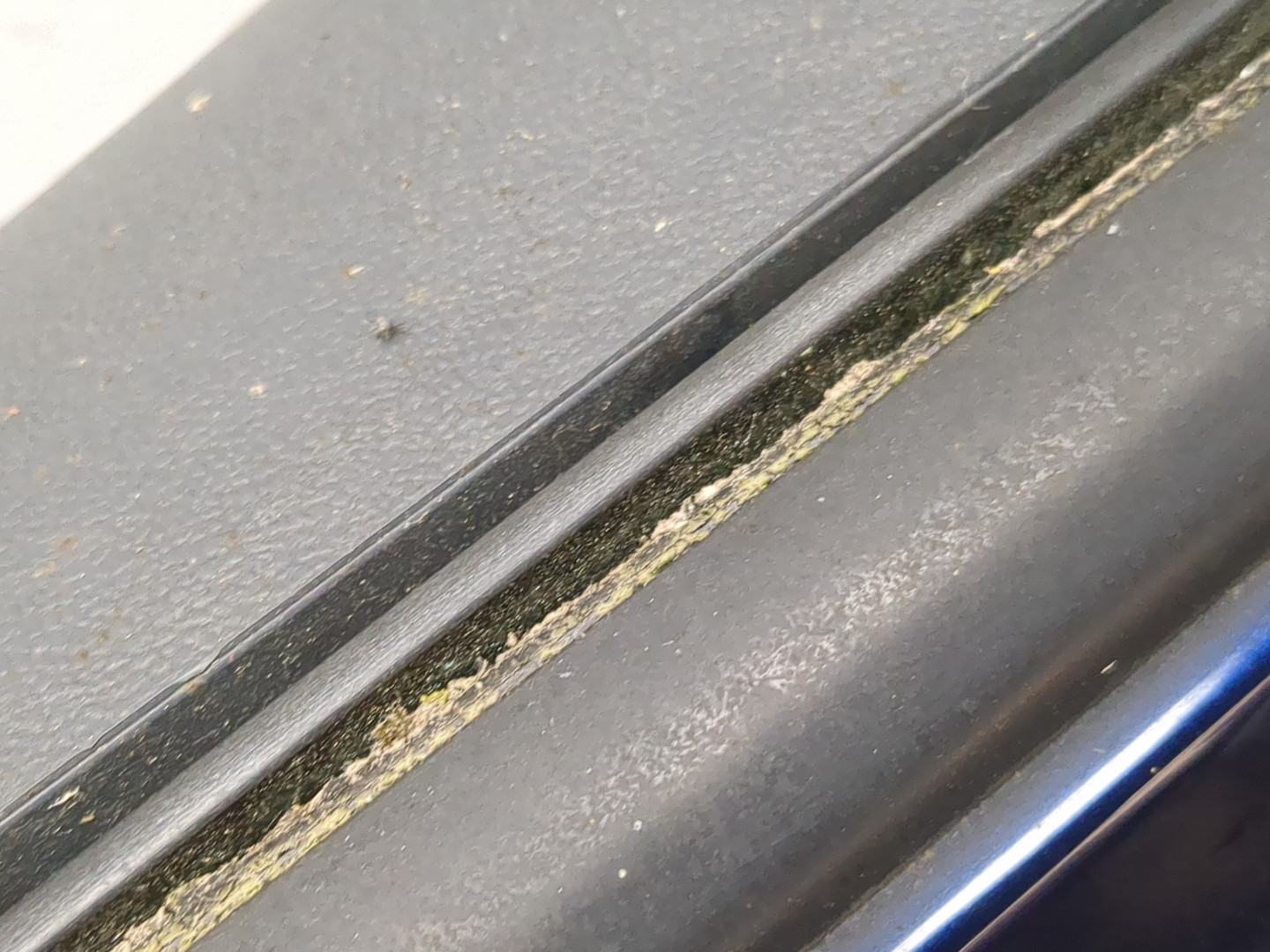 Дверь передняя левая