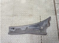 1M51A02217AB Жабо под дворники (дождевик) Ford Focus 1 1998-2004 20830653 #1