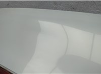 904011CA0A Петля крышки багажника Infiniti FX 2008-2013 11624742 #11