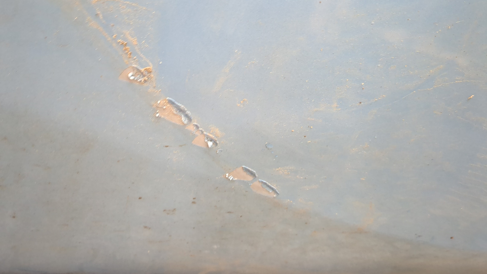 Дверь передняя левая