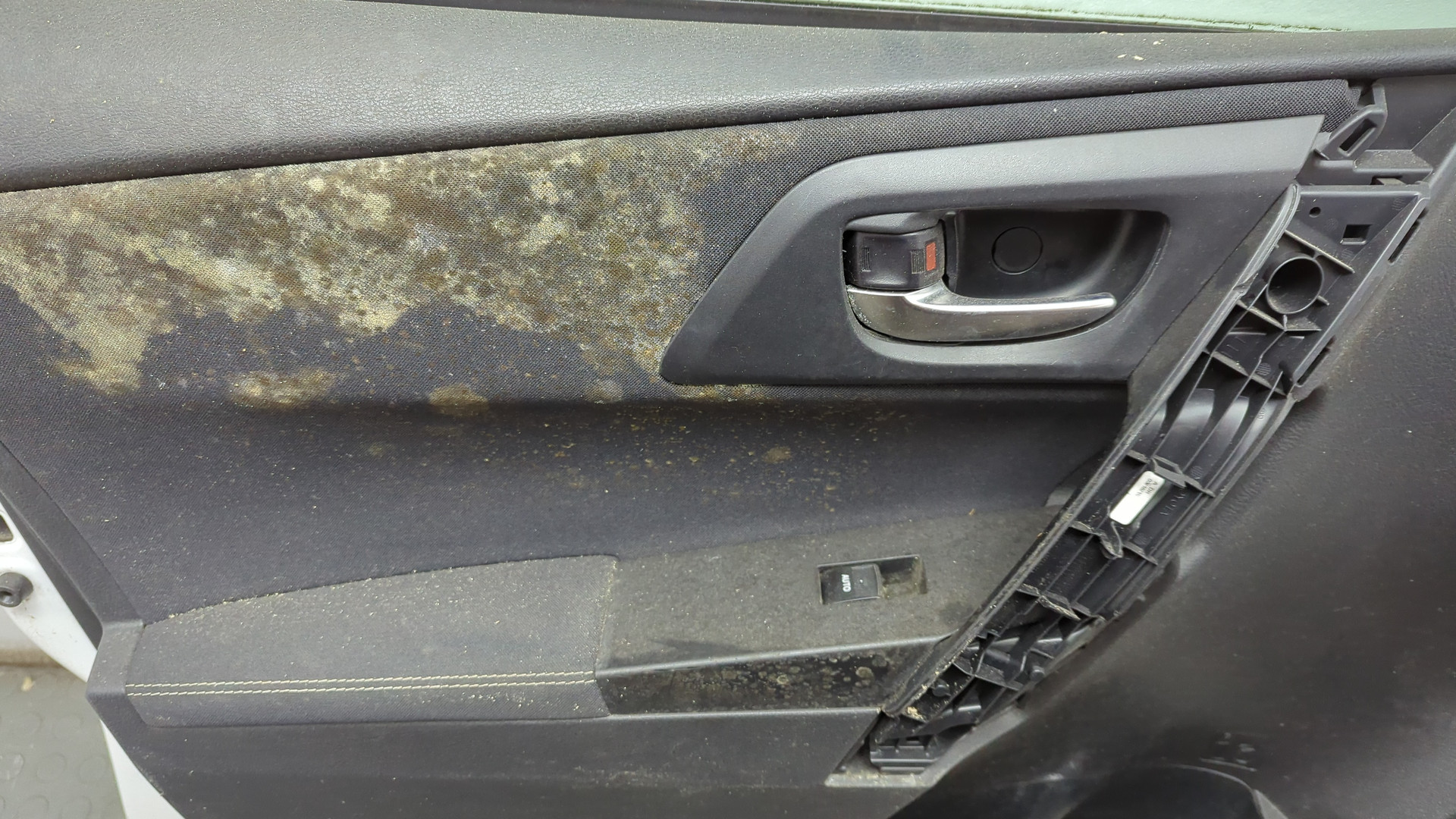 Дверь передняя левая