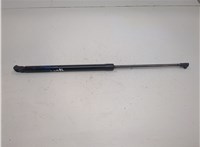 904506MA0A Амортизатор крышки багажника Nissan Rogue Sport 2017-2022 20831860 #1