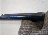 904506MA0A Амортизатор крышки багажника Nissan Rogue Sport 2017-2022 20831860 #2