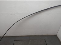 7404593 Молдинг крыши BMW 3 E90, E91, E92, E93 2005-2012 20832422 #3