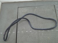 68630478AA Уплотнитель Dodge Hornet 2022-2025 20832531 #1