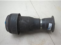 37126794543, 6794543 Пневмоподушка BMW X5 E70 2006-2013 20832578 #5