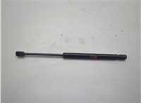 65470CG80A Амортизатор капота Infiniti FX 2002-2009 20833330 #1