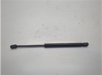 65470CG80A Амортизатор капота Infiniti FX 2002-2009 20833330 #3