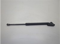 19184244 Амортизатор крышки багажника Pontiac Vibe 2 2008-2010 20833341 #1