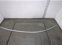 51167410314, 7410314 Молдинг крыши BMW 7 G11, G12 2015-2022 20833845 #1