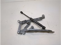 51237183741, 7183741 Амортизатор капота BMW 7 F01 2008-2015 11627165 #2