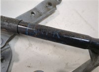 51237183741, 7183741 Амортизатор капота BMW 7 F01 2008-2015 11627165 #4