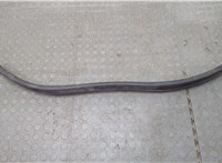 51767347394, 7347394 Уплотнитель BMW 5 G30, G31 2017-2023 20834807 #1