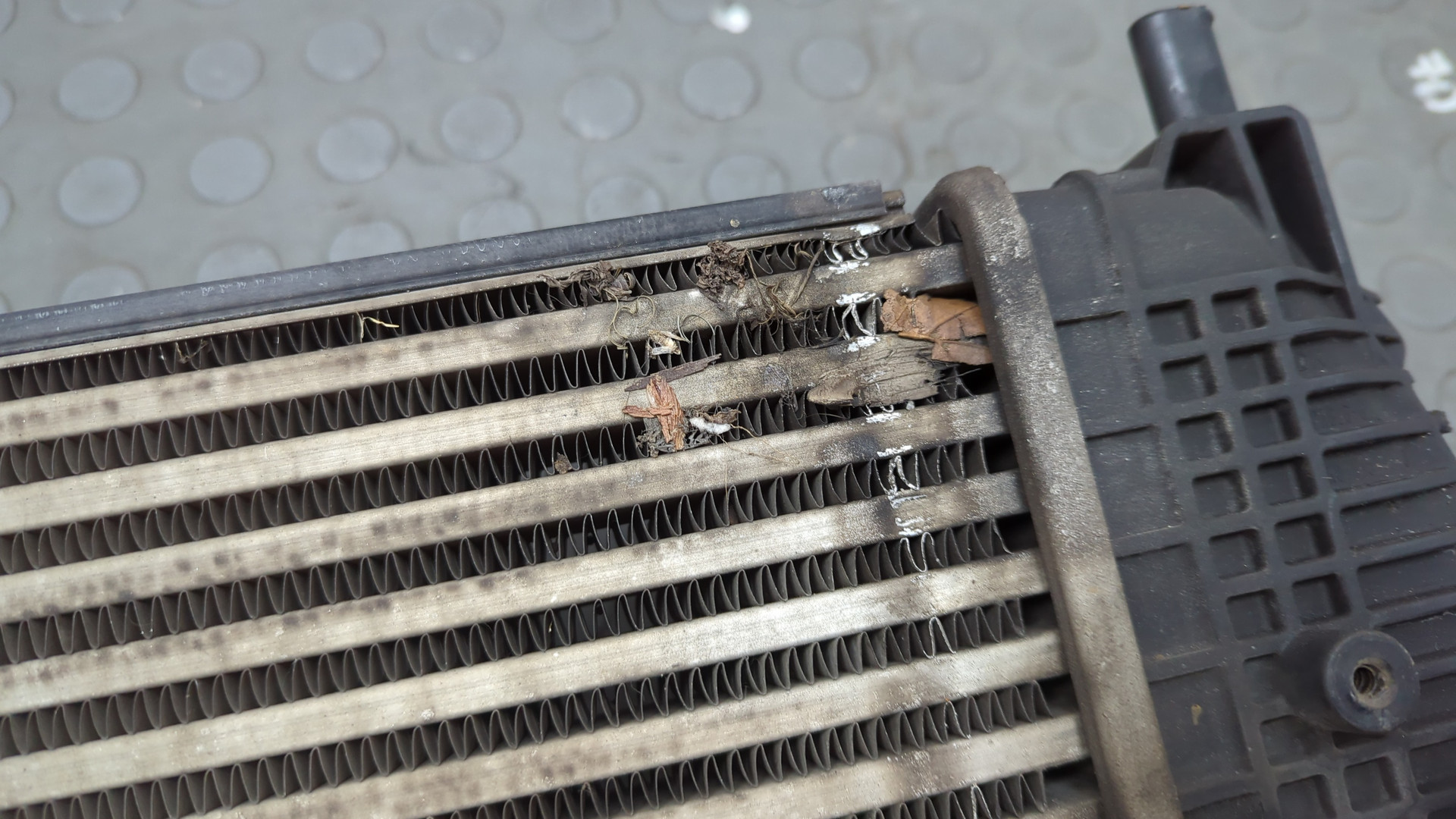 Интеркулер