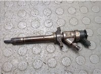 0445110353 Форсунка топливная Ford Focus 2 2008-2011 20836204 #1