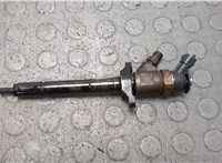 0445110353 Форсунка топливная Ford Focus 2 2008-2011 20836205 #1