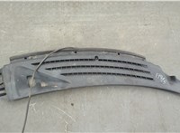 BL341502222A Жабо под дворники (дождевик) Ford F-150 2009-2014 20836905 #1