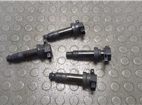 273002B000 Катушка зажигания(комплект) Hyundai i30 2007-2012 20839523 #1