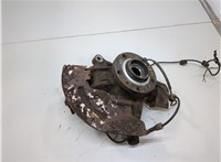 330780, 364786 Ступица (кулак, цапфа) Peugeot 607 2000-2010 20840411 #1