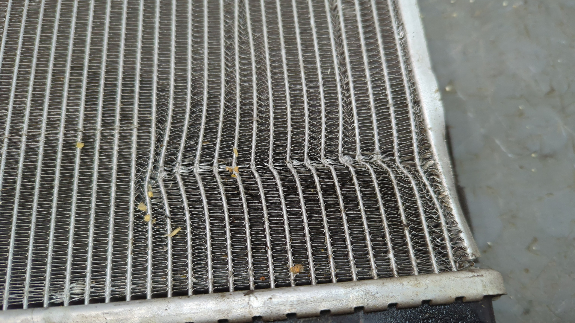 Радиатор охлаждения двигателя основной