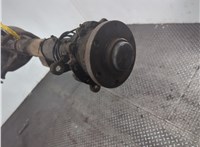 46391693 Мост (ведущий) Iveco Daily 5 2011-2014 20843407 #4