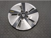 52960G2000 Колпак колесный Hyundai IONIQ 2016-2022 20843469 #1