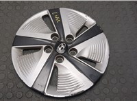 52960G2000 Колпак колесный Hyundai IONIQ 2016-2022 20843471 #1