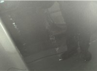 9667050380 Капот DS 5 2015-2018 20844285 #2