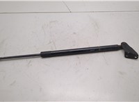 904513KA1A Амортизатор крышки багажника Nissan Pathfinder 2012-2020 20845206 #1