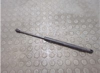 654705025R Амортизатор капота Renault Arkana 20845324 #1